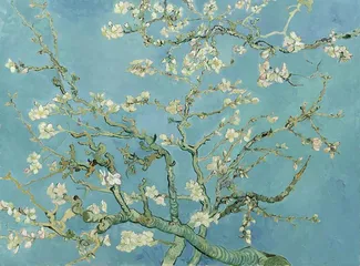 Cuadro Almendro en Flor de Vincent Willem Van Gogh