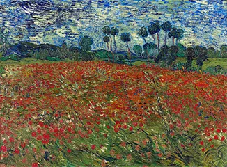 Campo de amapolas