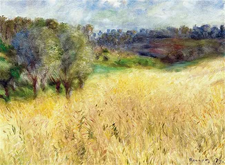 Campo de Trigo