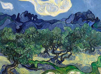 Cuadro Los Olivos de Vincent Willem Van Gogh