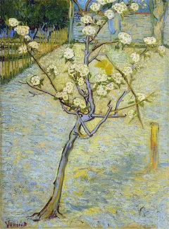 Pequeño árbol de pera en flor
