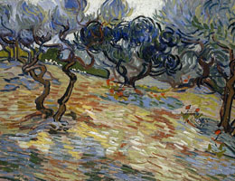 Cuadro de Vincent Willem van Gogh  - Olivos