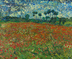 Cuadro de Vincent Willem van Gogh  - Campo de amapolas