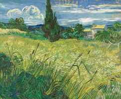 Cuadro de Vincent Willem van Gogh  - Campo verde