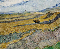 Cuadro de Vincent Willem van Gogh  - Campo cerrado con labrador