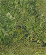 Cuadro de Vincent Willem van Gogh  - Jardín con mariposas