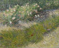 Cuadro de Vincent Willem van Gogh  - Hierba y mariposas