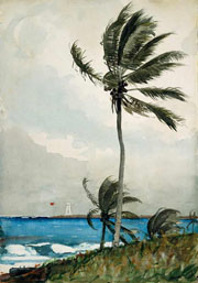 Cuadro de Homer winslow - Palmera, Nassau