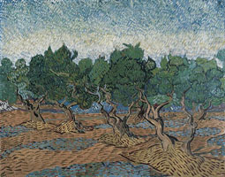 Cuadro de Vincent Willem van Gogh  - Surco de olivos