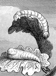 Cuadro de William Blake  - Para niños. Las Puertas del Paraíso, Placa 1, Frontispiece