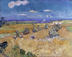Cuadro de Vincent Willem van Gogh  - Campos de trigo con Reaper, Auvers
