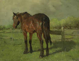 Cuadro de Anton Rudolf Mauve - Paard