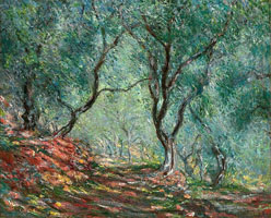 Cuadro de Oscar-Claude Monet - Olivo de madera en el jardín Moreno