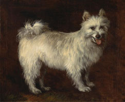 Cuadro de Thomas Gainsborough - Perro Spitz