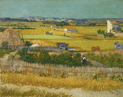 Cuadro de Vincent Willem van Gogh  - La cosecha II