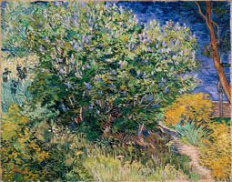 Cuadro de Vincent Willem van Gogh  - Lilac Bush