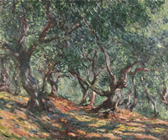 Cuadro de Oscar-Claude Monet - Olivos en Bordighera