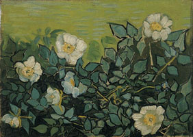 Cuadro de Vincent Willem van Gogh  - Rosas salvajes