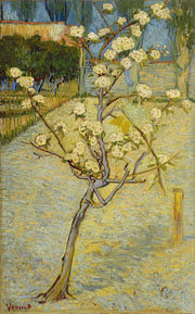 Cuadro de Vincent Willem van Gogh  - Pequeño árbol de pera en flor