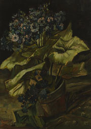 Cuadro de Vincent Willem van Gogh  - Cineraria