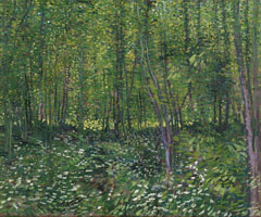 Cuadro de Vincent Willem van Gogh  - Árboles y Sotobosque