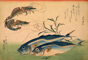 Cuadro de Utagawa Hiroshige - Caballa con camarones o gambas, con inscripción