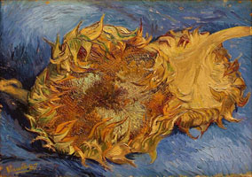 Cuadro de Vincent Willem van Gogh  - Girasoles III