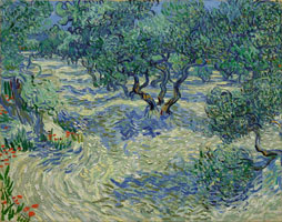 Cuadro de Vincent Willem van Gogh  - Huerto de olivos