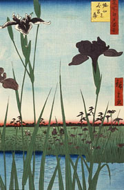 Cuadro de Utagawa Hiroshige - Horikiri Iris Garden, de la serie Cien Vistas Famosas de Edo (Meisho Edo hyakkei)