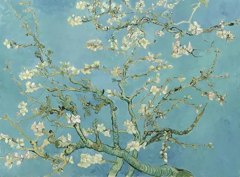 Almendro en Flor