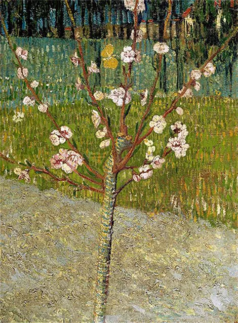 Almendro en flor