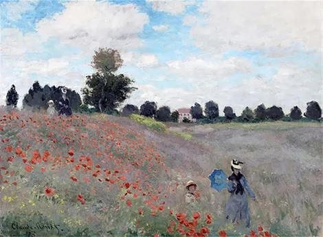 Campo de Amapolas