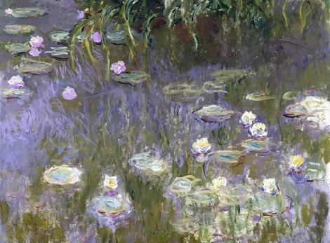 Nenúfares