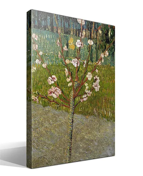 Almendro en flor
