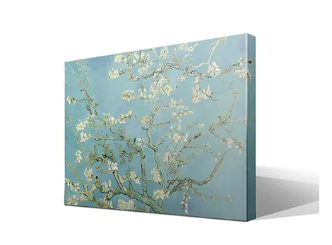 Almendro en Flor
