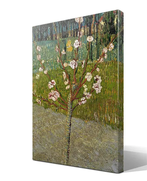 Almendro en flor