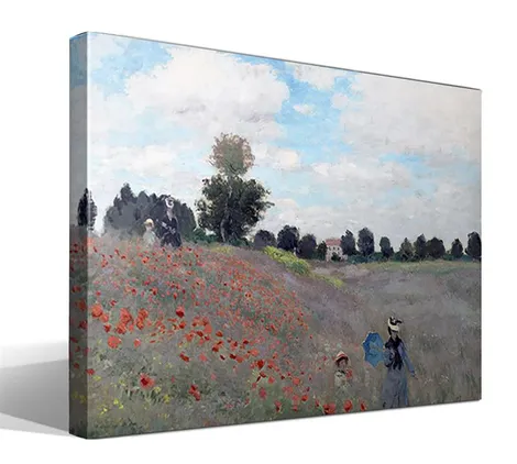 Campo de Amapolas
