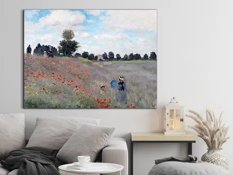 Campo de Amapolas