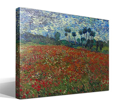 Campo de amapolas