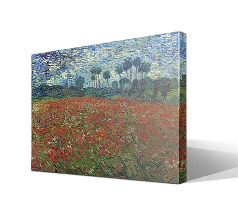 Campo de amapolas