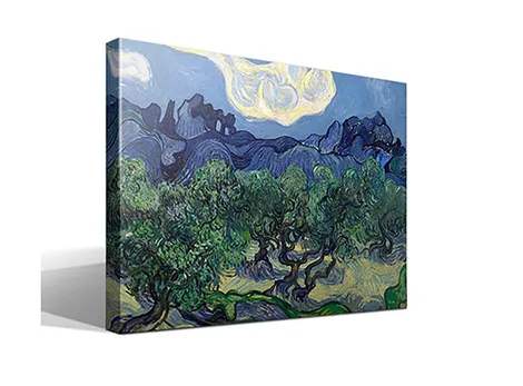 Los Olivos
