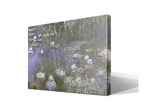 Nenúfares