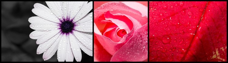 LA DIFERENCIA ESTÁ EN LOS DETALLES