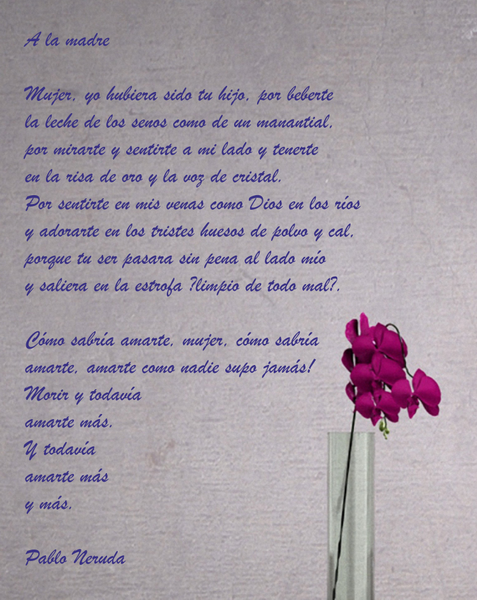 FELICIDADES MADRE. UN POCO DE POESÍA