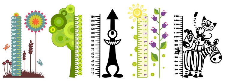 TOMANDO MEDIDAS: ANÍMALOS A CRECER