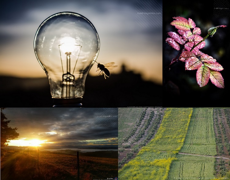 “I CONCURSO DE FOTOGRAFÍA DE CUADROS Y VINILOS”