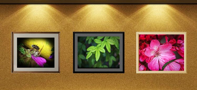 IMPRESIONES A MEDIDA: SUBE TU FOTO